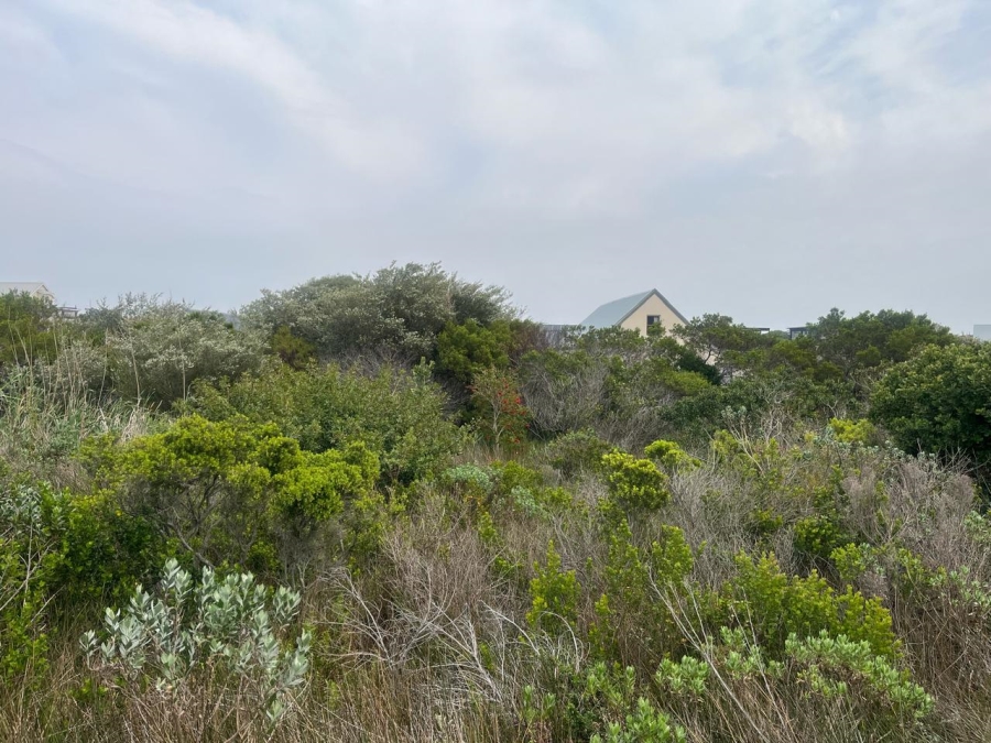 0 Bedroom Property for Sale in Pringle Bay Western Cape